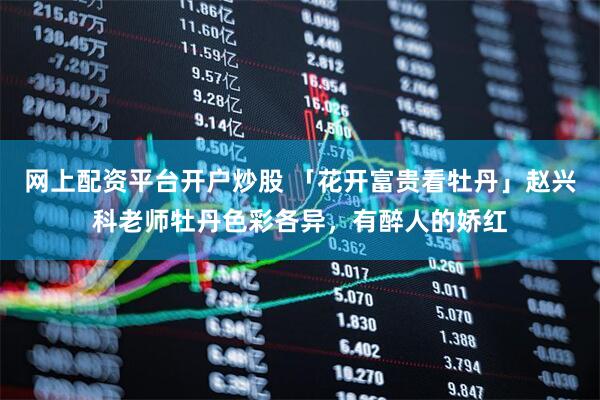 网上配资平台开户炒股 「花开富贵看牡丹」赵兴科老师牡丹色彩各异，有醉人的娇红