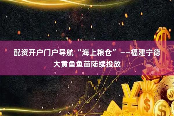 配资开户门户导航 “海上粮仓” ——福建宁德大黄鱼鱼苗陆续投放